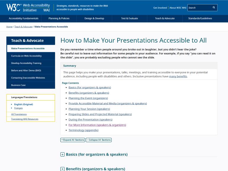 Screenshot des Online-Leitfadens im Web-Angebot des W3C