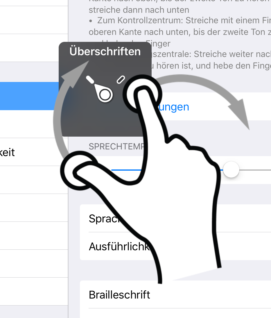 iOS-Screenshot mit eingeblendetem Voice-Over-Rotor