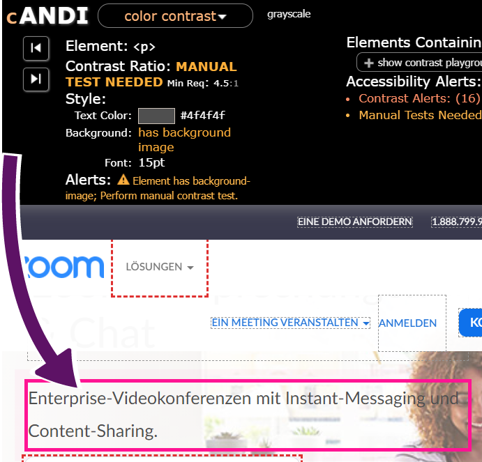 Bildschirmausschnitt des ANDI-Bookmarklets auf der Zoom-Webseite